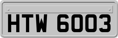 HTW6003