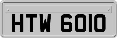 HTW6010