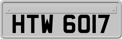 HTW6017