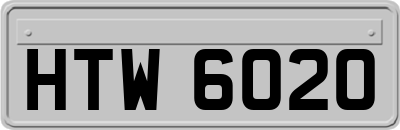 HTW6020