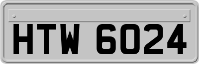 HTW6024