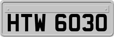 HTW6030