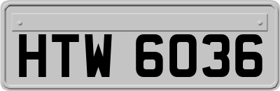 HTW6036