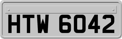 HTW6042