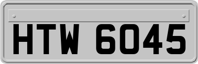 HTW6045