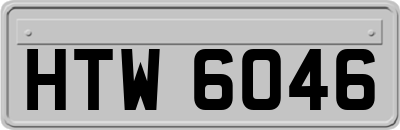 HTW6046