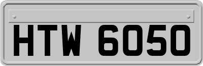 HTW6050