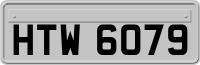 HTW6079
