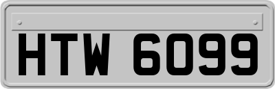 HTW6099