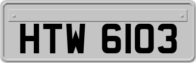 HTW6103