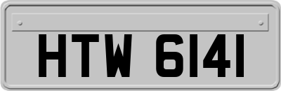HTW6141