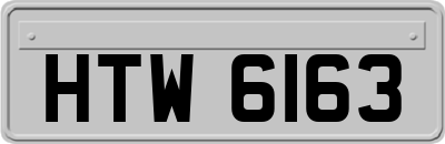 HTW6163