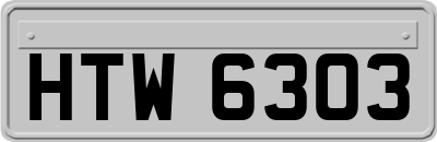HTW6303