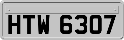 HTW6307