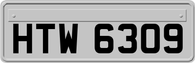 HTW6309