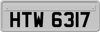 HTW6317