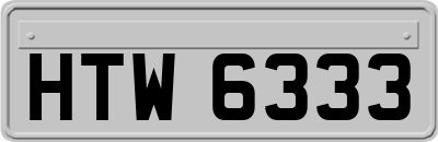 HTW6333