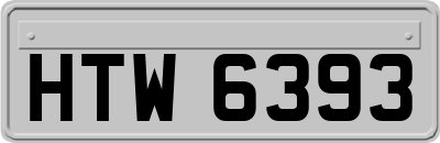 HTW6393