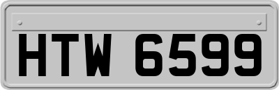 HTW6599