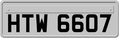 HTW6607