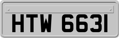 HTW6631