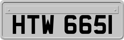 HTW6651