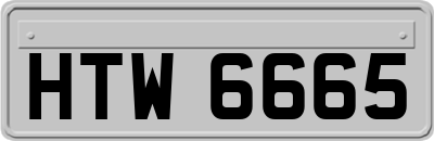 HTW6665