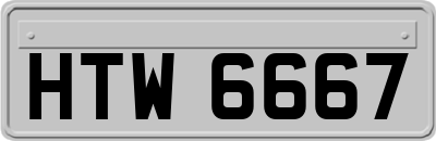 HTW6667