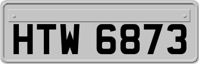 HTW6873