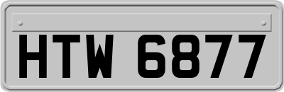 HTW6877