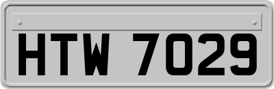 HTW7029