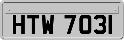 HTW7031