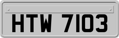 HTW7103
