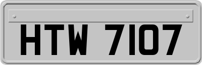 HTW7107