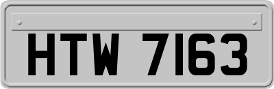 HTW7163