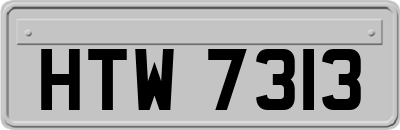 HTW7313