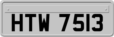 HTW7513