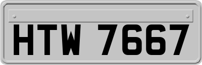 HTW7667