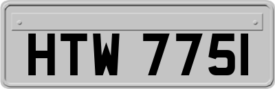 HTW7751