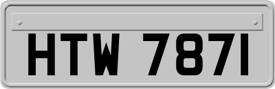 HTW7871