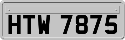 HTW7875