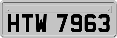 HTW7963