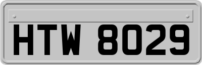 HTW8029