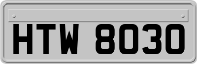 HTW8030
