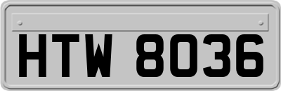 HTW8036