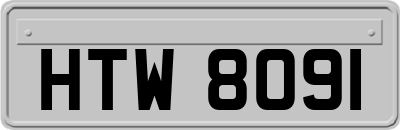 HTW8091