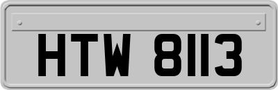 HTW8113