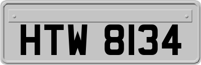 HTW8134
