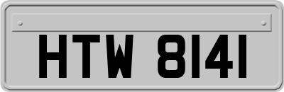 HTW8141