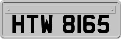 HTW8165